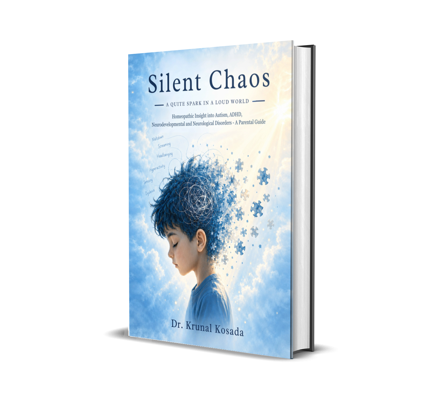 Silent Chaos (English) By Dr. Krunal Kosada